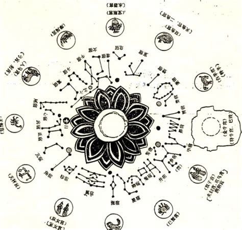 二十八 星宿|二十八星宿（中国古代天文学名词）